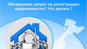 Что делать при наложении запрета на регистрационные действия автомобиля в АСНА