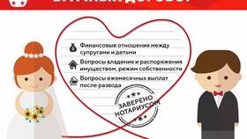 Что устанавливает брачный договор в АСНА