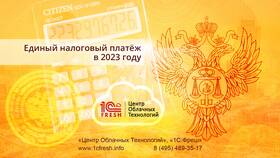 Единый налоговый платеж: состав и особенности в АСНА
