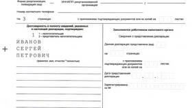 Из чего состоит налоговая декларация в АСНА