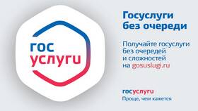 Как найти работу через портал Госуслуги в АСНА