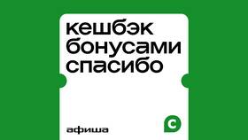 Как оформить и активировать бонусы «СберСпасибо» в АСНА