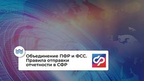 Как отправить отчет в СФР (Социальный фонд России) в АСНА
