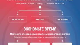Как платить налоги: основные принципы и правила