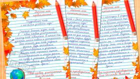Как правильно написать заявление от имени ученика в АСНА