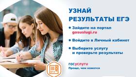 Как узнать свои баллы через Госуслуги в АСНА