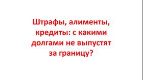 Как узнать за что штраф в Казахстане в АСНА