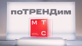 Причины неработоспособности личного кабинета МТС в АСНА