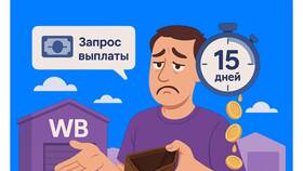Причины задержек доставки Wildberries в АСНА