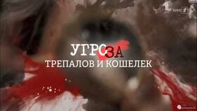 Трепалов и кошелек: о чем речь? в АСНА