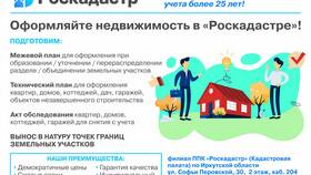 Выписка из реестра ТС ФГИС: как получить и зачем она нужна в АСНА